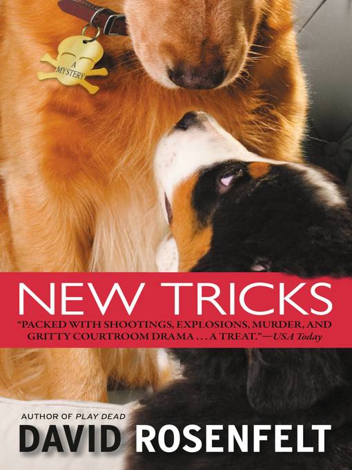 Cover image for New Tricks